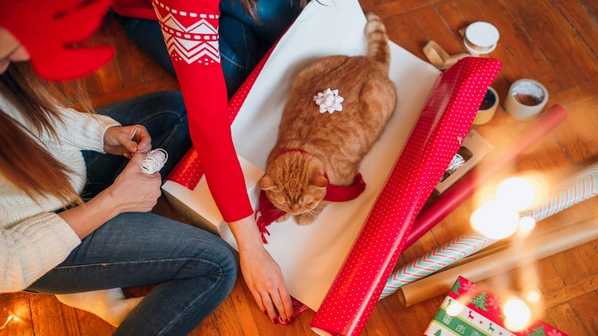 these holiday decorations and treats could pose a threat to pets veterinarians warn