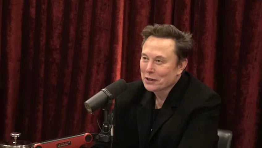 this is really gonna get me assassinated musk issues warning over exposing dc corruption