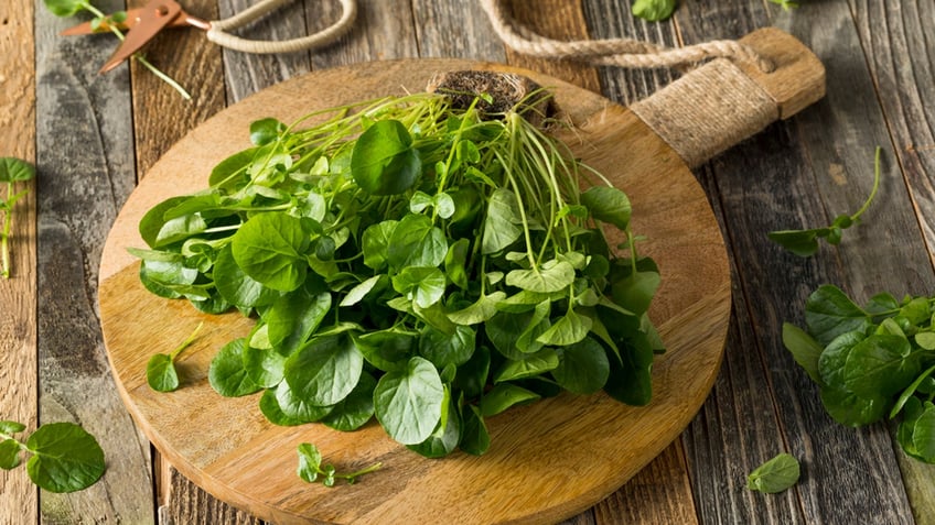 watercress on a cutting board