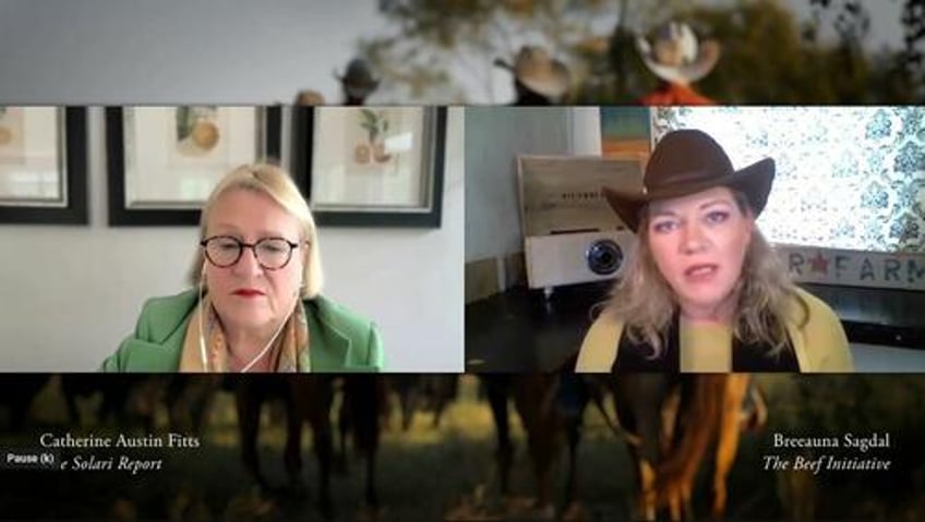this is war catherine austin fitts on land grabs the evils of cbdc and fighting the most invasive form of tyranny thats ever existed