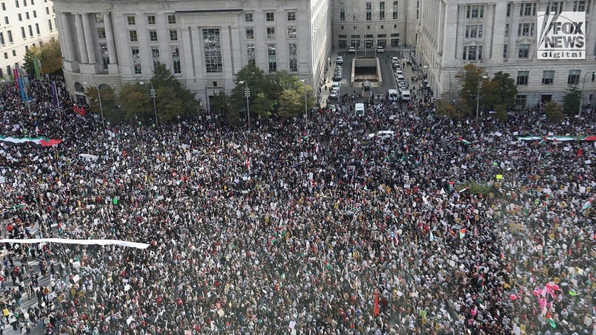 thousands of anti israel protesters descend on white house praising hamas slamming genocide joe