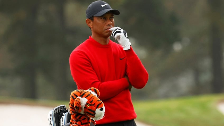 tiger woods