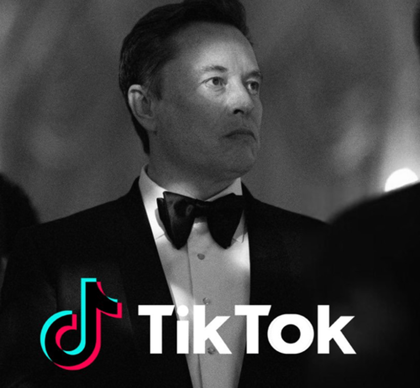 tiktok dismisses bloombergs report of potential sale to musk as pure fiction 