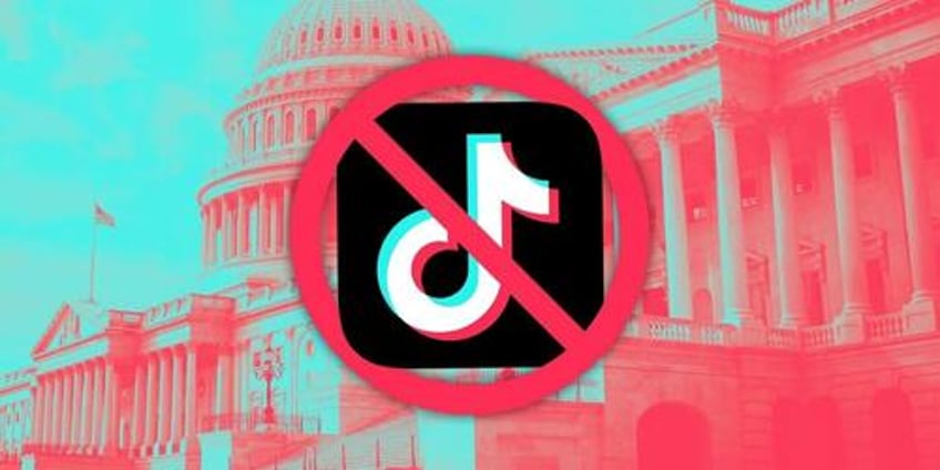 tiktok sues us government over forced sale or ban law