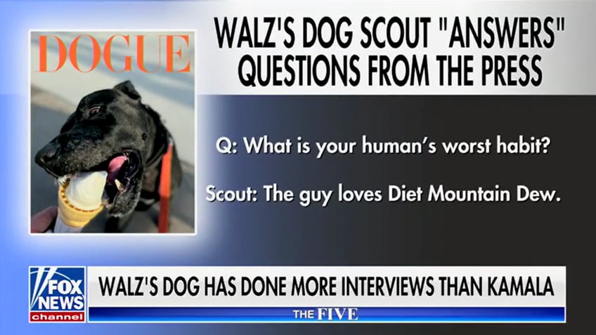 A quote from the interview featuring Tim Walz's dog