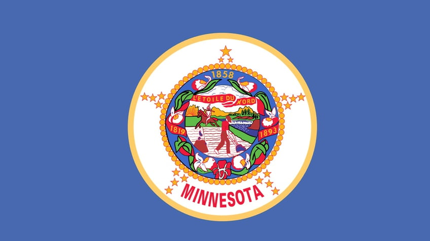 Minnesota flag