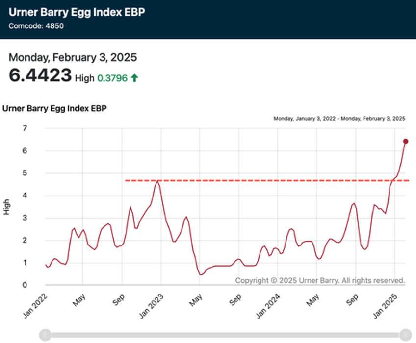 time to build backyard chicken coop as wholesale egg prices hit new record highs