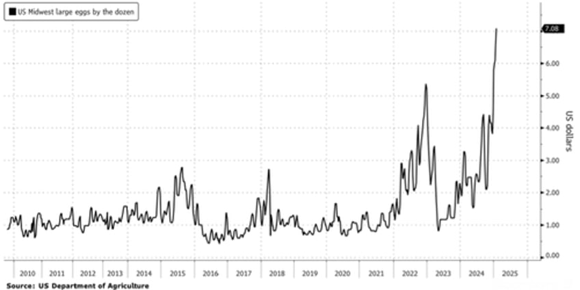 time to build backyard chicken coop as wholesale egg prices hit new record highs