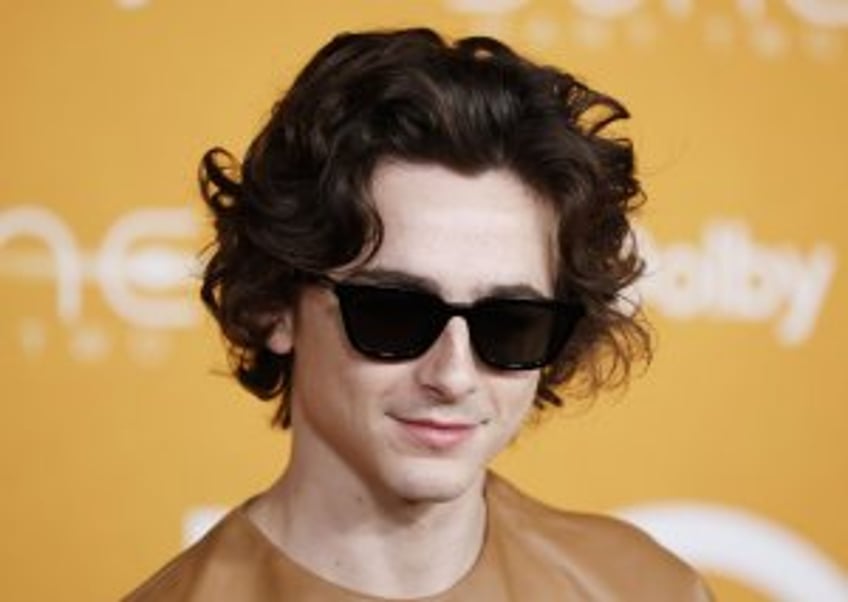 Timothée Chalamet: Bob Dylan 'most inspiring' to him as artist