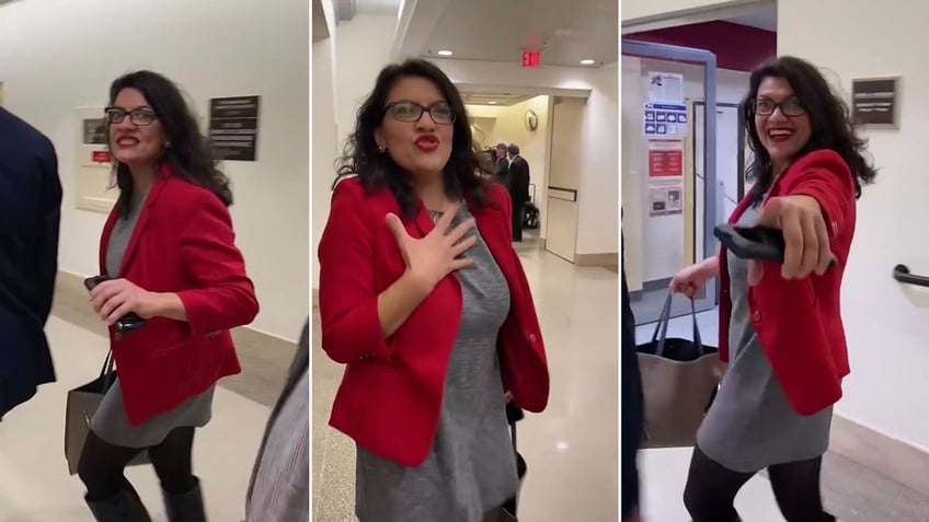 tlaib loses it when asked in 2019 if israel has right to exist you work for netanyahu