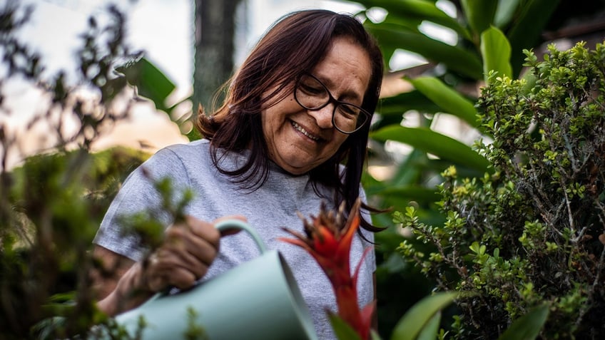 Elderly woman taking care of her garden