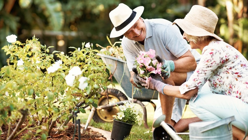 happy senior couple garden