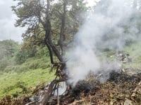 Toddler among seven killed in India chopper crash