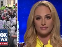 Tomi Lahren: 'This shows you how far the Democrat Party has fallen'