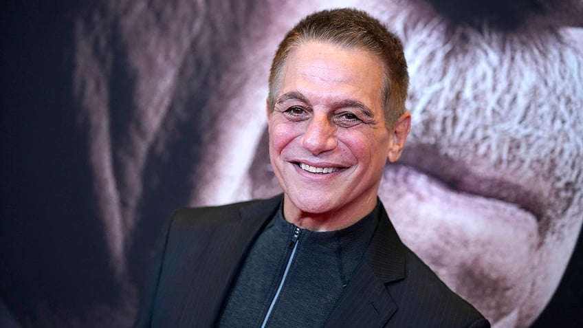 Tony Danza smiles on red carpet