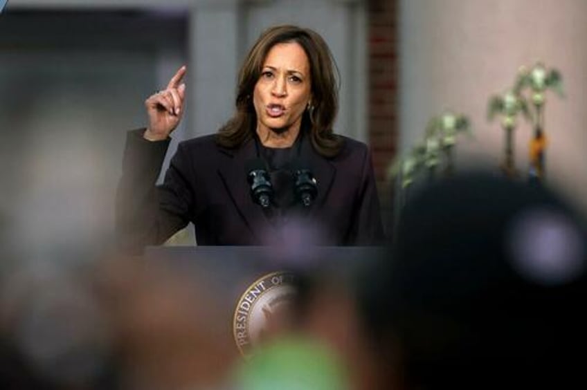 top 3 reasons voters gave for not supporting harris poll