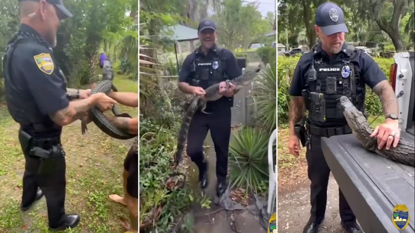 Florida gator captured at resident's home
