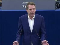 Top MEP Warns Europe Risks Becoming 