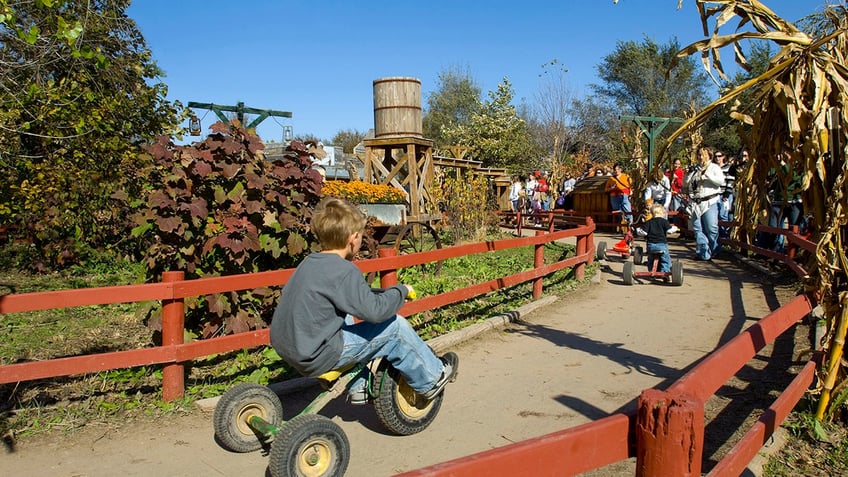 top pumpkin patches in america that offer fall fun for the entire family