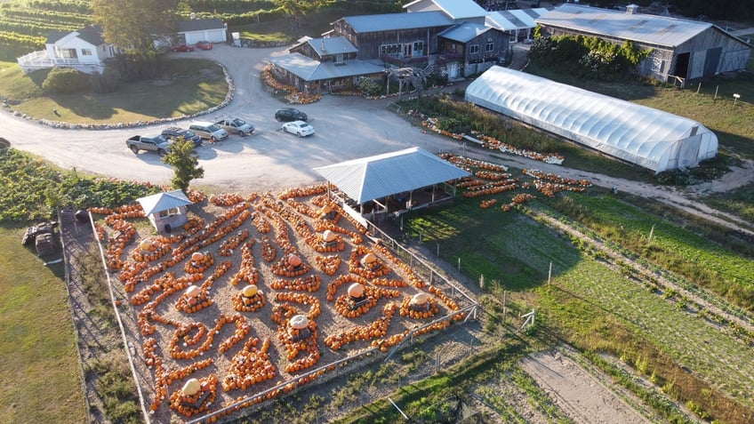 top pumpkin patches in america that offer fall fun for the entire family