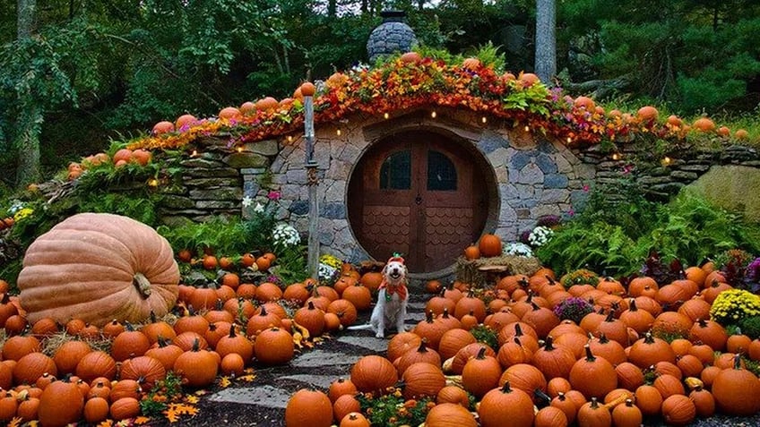 top pumpkin patches in america that offer fall fun for the entire family