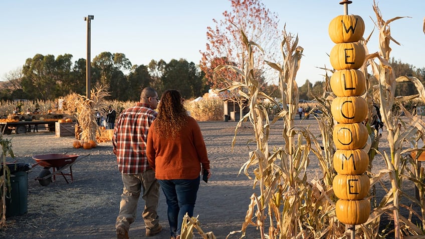 top pumpkin patches in america that offer fall fun for the entire family