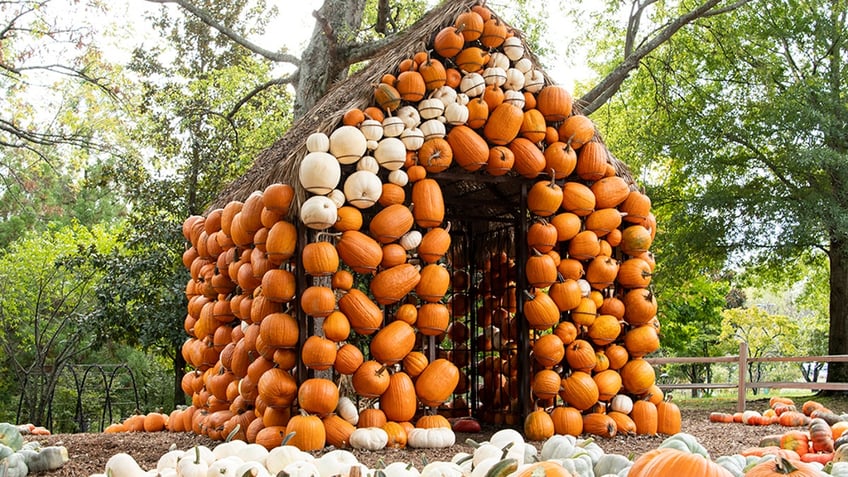 top pumpkin patches in america that offer fall fun for the entire family