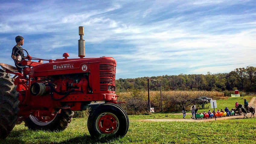 top pumpkin patches in america that offer fall fun for the entire family