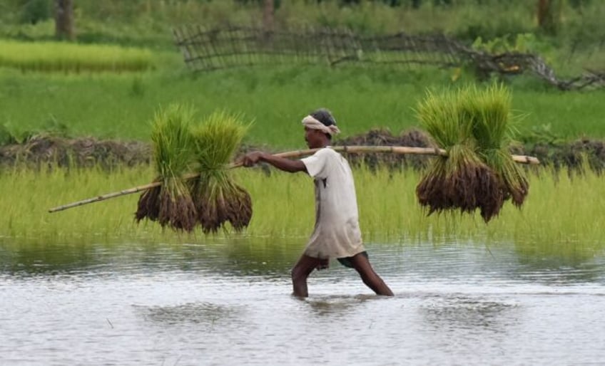 top rice supplier india bans some exports