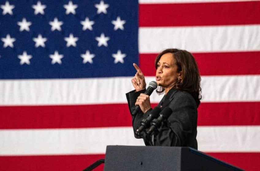 US Vice President Kamala Harris speaks during a rally in Boston, Massachusetts in November