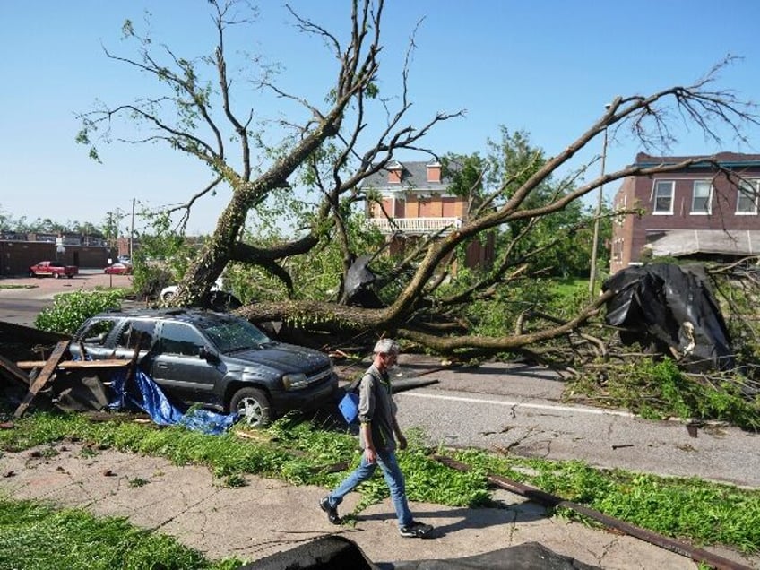 A person walks past a large tree blocking a road after a severe storm moved through Friday