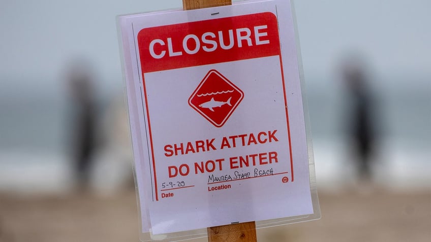 Shark attack signage