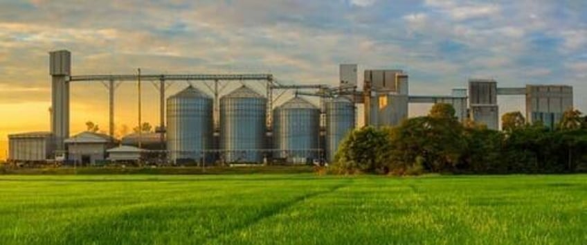 toxic biosolids threaten us farmland and livestock