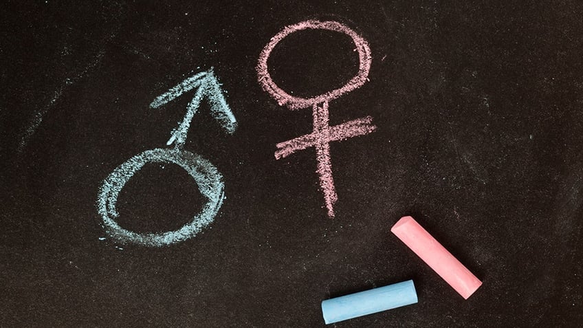 Male and female symbols drawn using chalk on a chalkboard