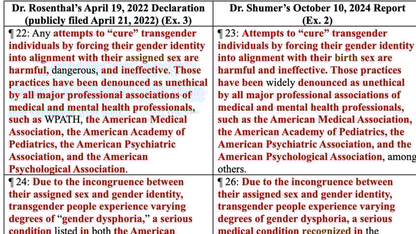 Screenshot of plagiarism examples from https://www.azsenaterepublicans.gov/. (Photo: https://www.azsenaterepublicans.gov/ screenshot)