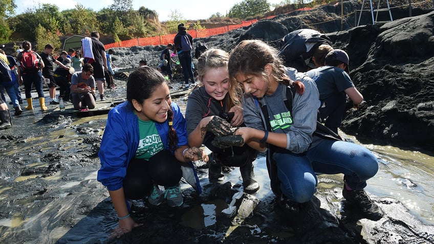 New Jersey dinosaur fossil find during museum excavation