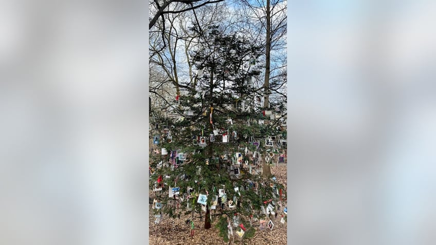 Central Park pet memorial tree