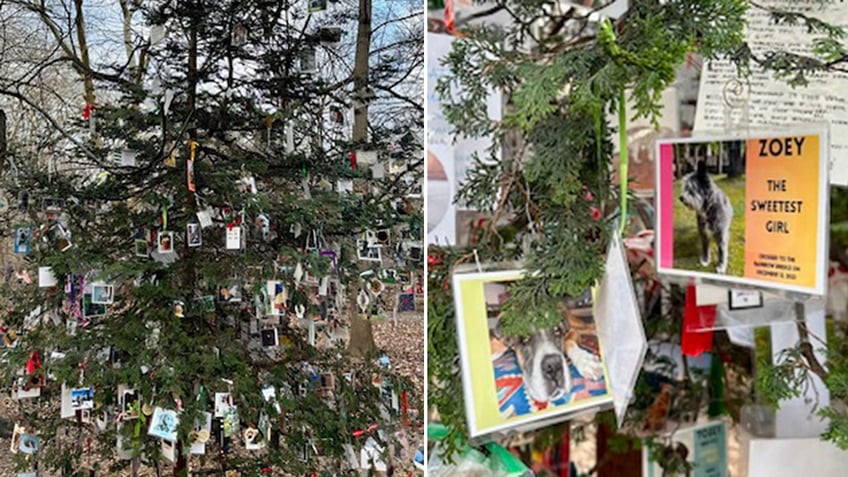 Pet memorial tree