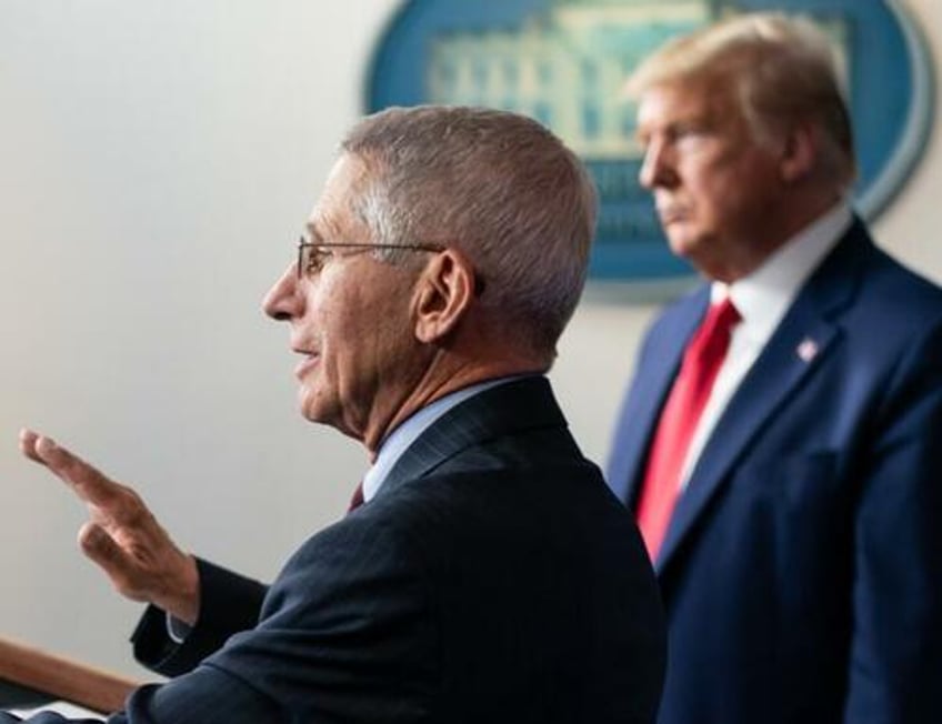 trump allies demand accountability from fauci not the former president