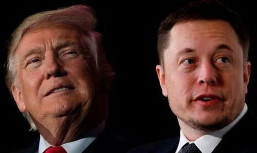 trump and musk discussing advisory role in next administration report