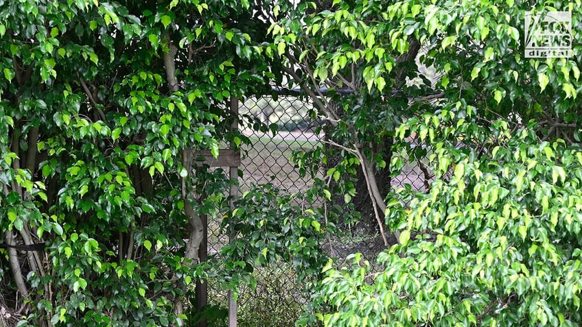 An exterior view of a gap in vegetation along the perimeter of Trump International Golf Club