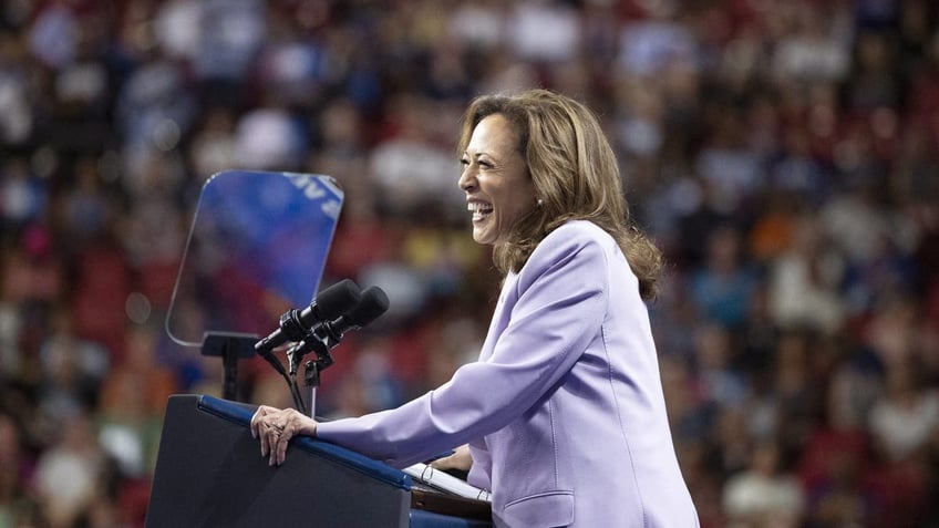 Vice President Kamala Harris speaks during a campaign rally at the University of Nevada in Las Vegas on Aug. 10, 2024. (Ronda Churchill/AFP via Getty Images)