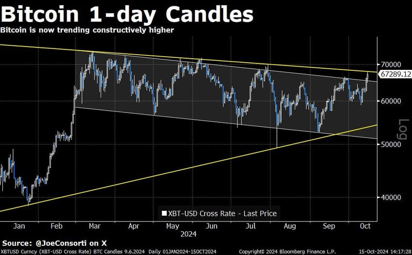 trump harris gap widens to 16 bitcoin is knocking on heavens door