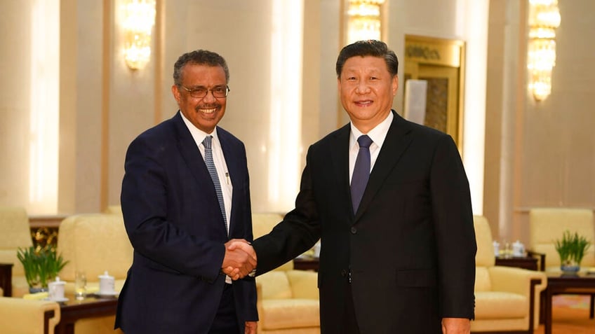 WHO director and China president