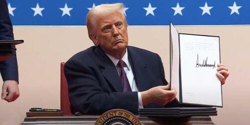 trump order strips funding from sanctuary cities engaged in insurrection