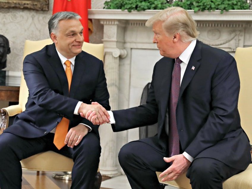 WASHINGTON, DC - MAY 13: U.S. President Donald Trump shakes hands with Hungarian Prime Minister Viktor Orban during a meeting in the Oval Office on May 13, 2019 in Washington, DC. President Trump took questions on trade with China, Iran and other topics. (Photo by Mark Wilson/Getty Images)