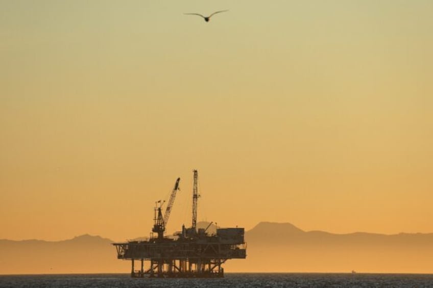 A gull flies with offshore oil and gas platform Esther in the distance on January 5, 2025