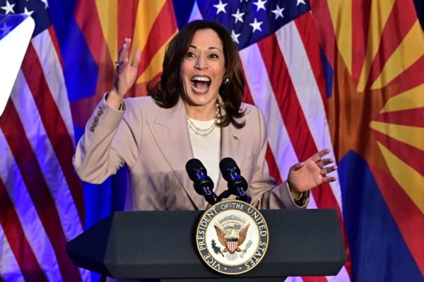 US Vice President Kamala Harris said Donald Trump wanted to 'take America back to the 1800