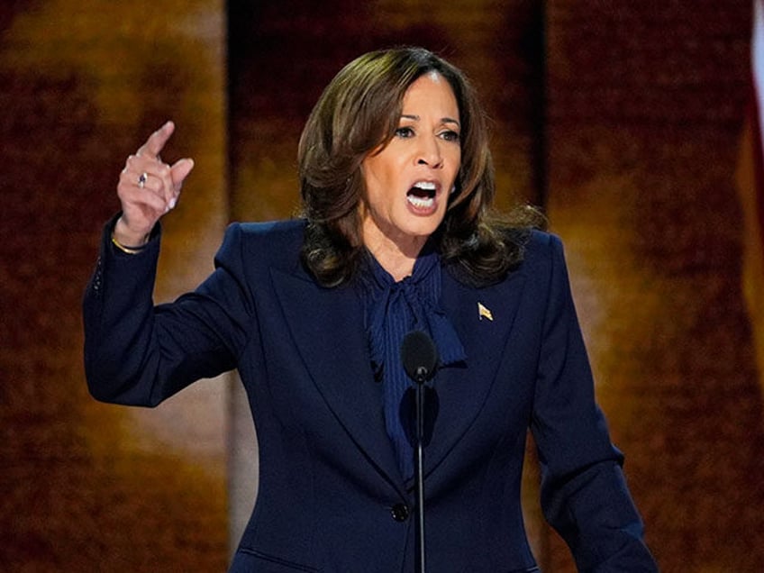 Democratic presidential nominee Vice President Kamala Harris speaks during the Democratic