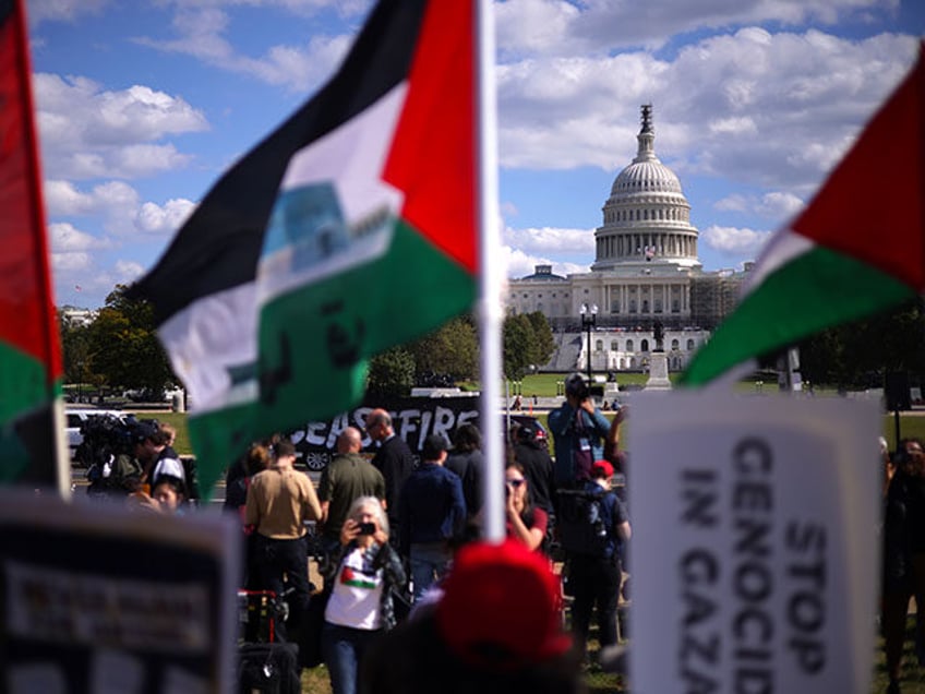 Protesters stage a demonstration in support of a cease fire against the Palestinians in Gaza at the National Mall on October 18, 2023 in Washington, DC. Members of the Jewish Voice for Peace and the IfNotNow movement staged a rally to call for a cease fire in the Israel–Hamas war. …